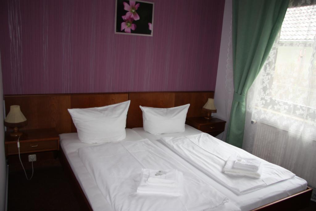 Hotel Zum Goldenen Stern Leibsch Exterior photo